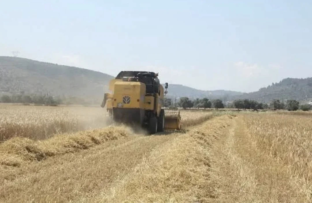 Tarım-ÜFE Ağustos’ta Durdu: Üretici Fiyatlarında Aylık Düşüş, Yıllık Artış Devam Ediyor