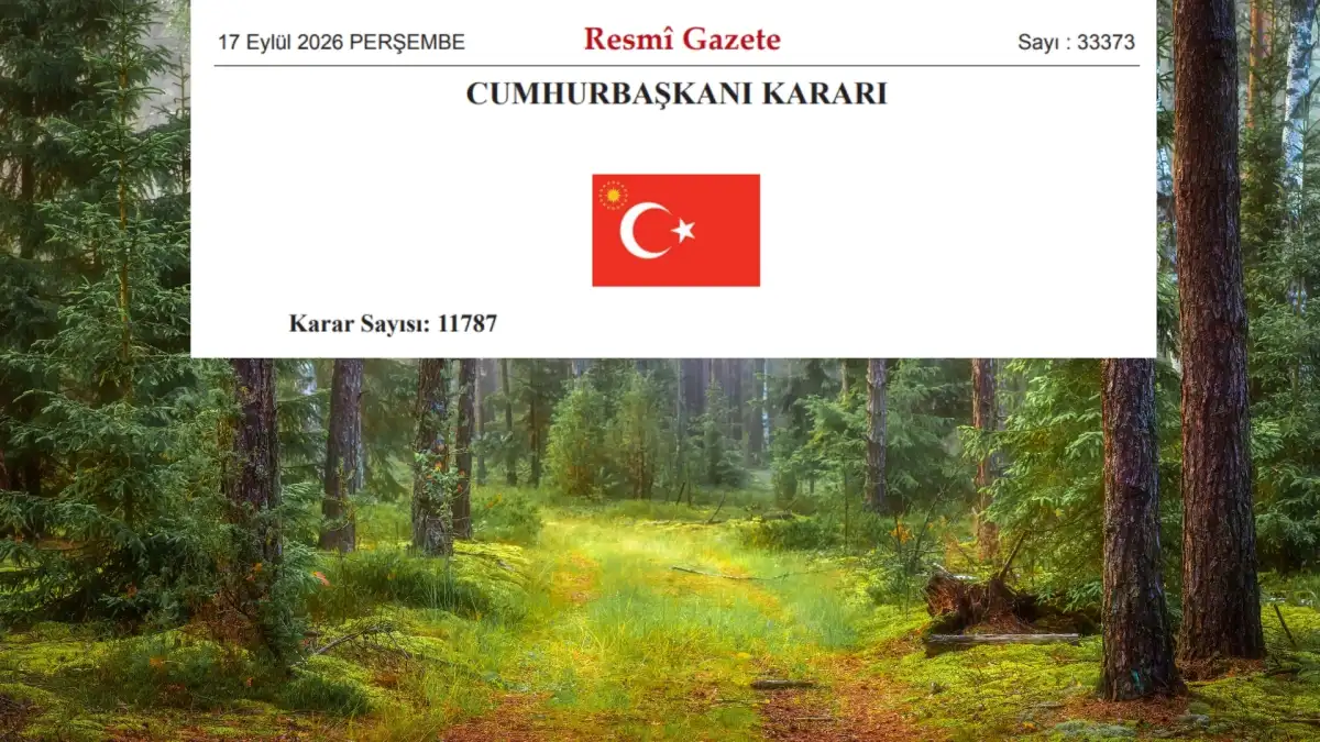 27 İlde Kritik Karar: Belirli Orman Alanları Statü Değişikliğine Uğruyor