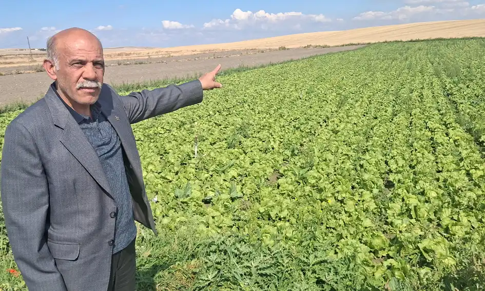 Demokrat Parti Beypazarı’ndan Çiftçilere Ziyaret: Üreticilerin Sorunları Yerinde Dinlendi
