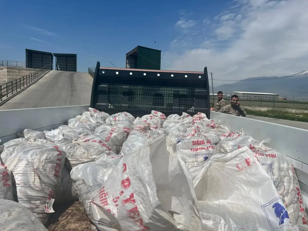 Ağrı’da Nefes Kesen Operasyon: 2 Ton Kaçak İnci Kefali Ele Geçirildi