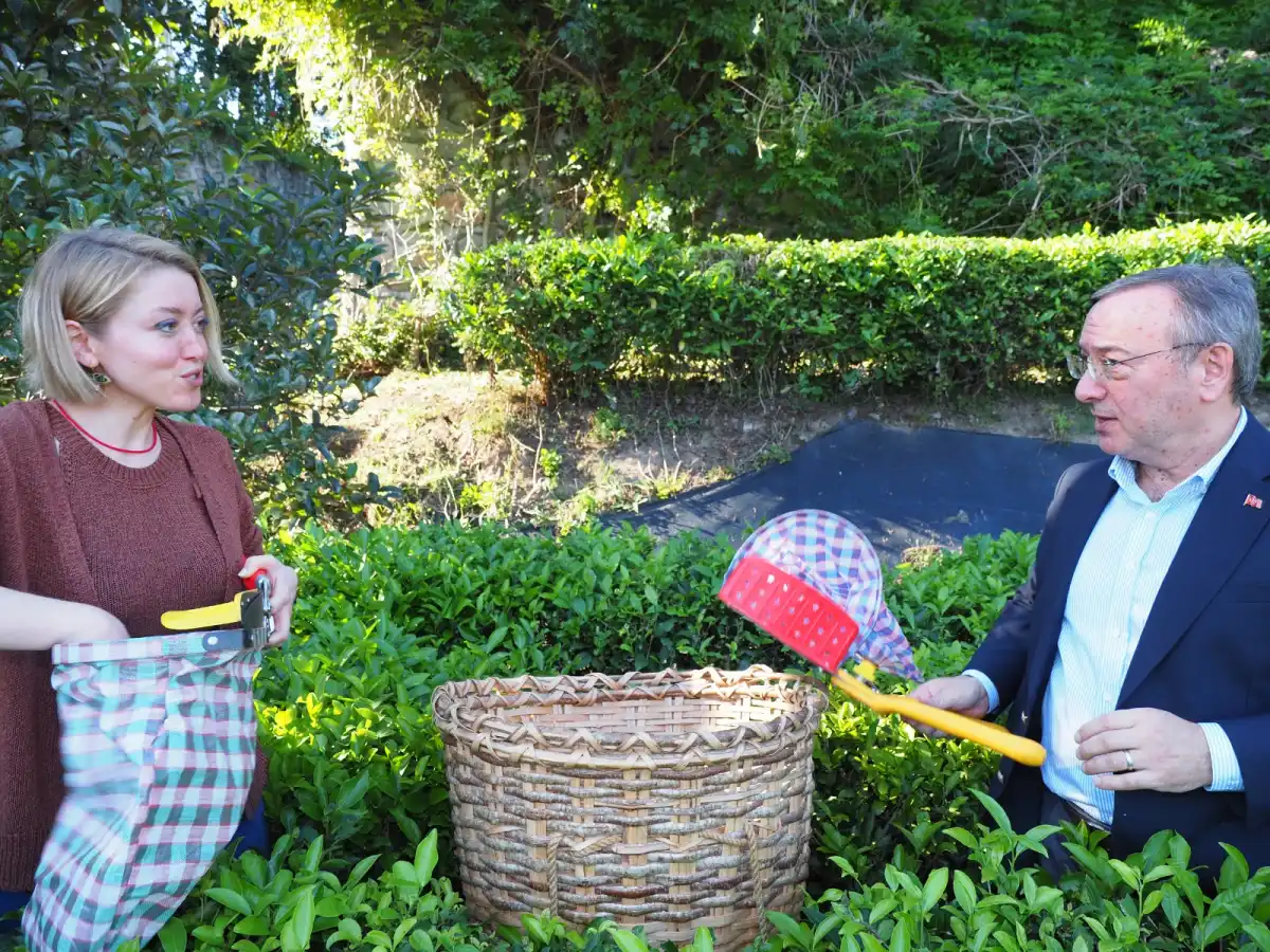 Rize’nin Gastronomi Devrimi: Bal, Mandalina ve Çay Atıklarıyla Yeni Ekonomi Modeli