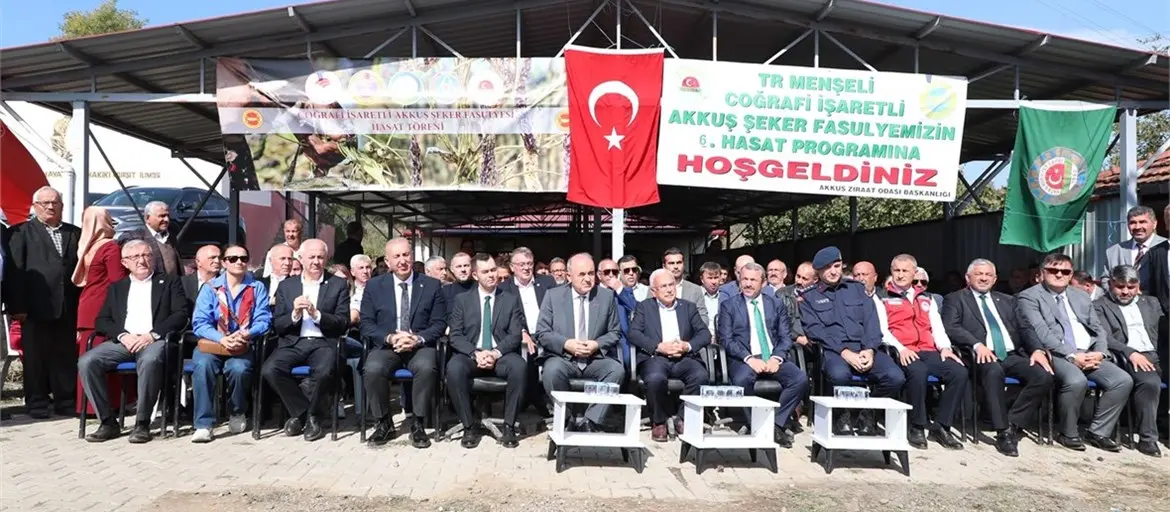Ordu’nun Coğrafi İşaretli Lezzeti: Akkuş Şeker Fasulyesi Hasadı Başladı