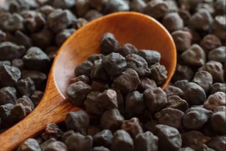 Mardin Anıtlı’da ‘Kara Nohut’a coğrafi işaret