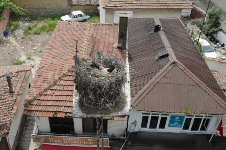 ‘Gelendost’ canlı takibe alındı!