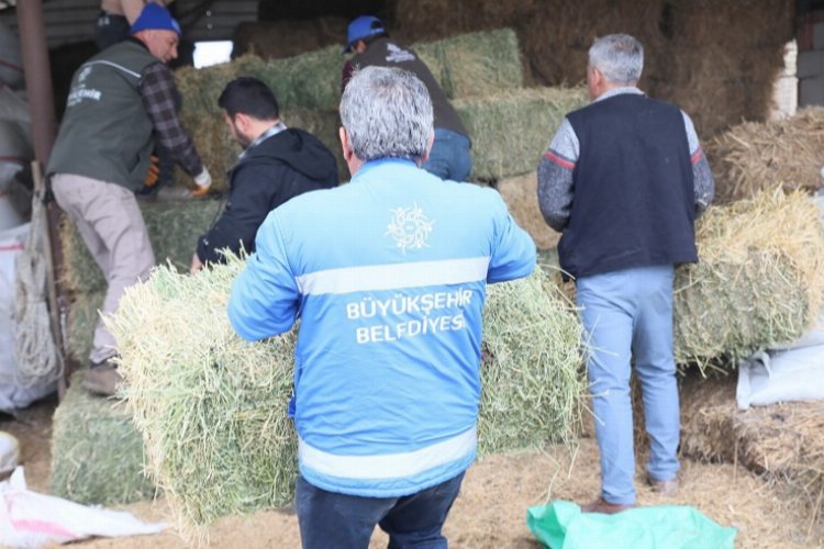 Aydın’da üreticiye büyük destek