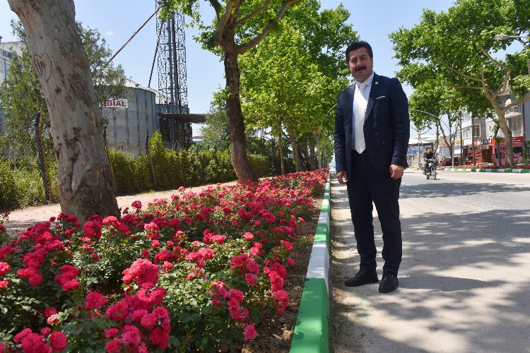 Yenişehir’in vitrini çiçek açacak