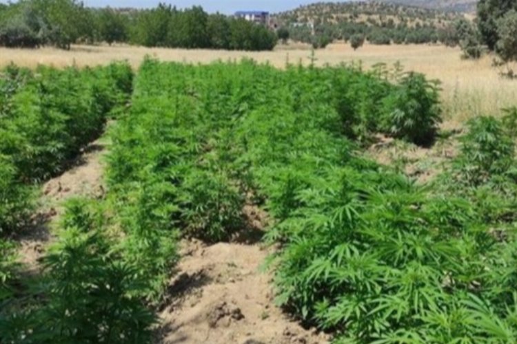 Yılın en yüksek narkoterör operasyonu… Terör örgütüne narkoterör darbesi!