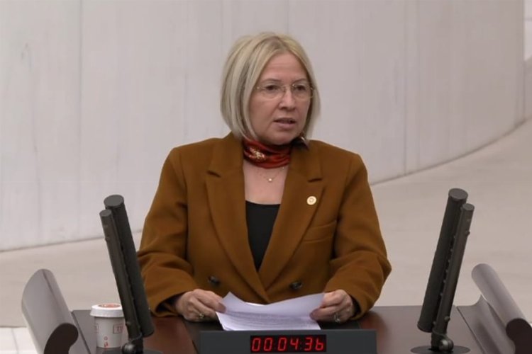 Yontar, deprem bölgesinin sorunlarını TBMM’ye taşıdı