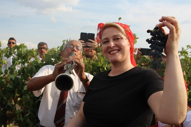 Uzunköprü’de davul zurna eşliğinde bağ bozumu