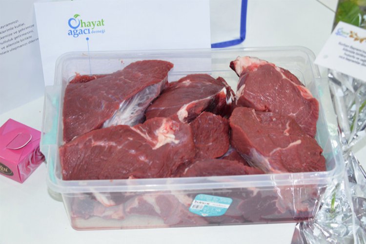 Sivas’ta ‘Hayat Ağacı’ kurban hisse bedeli 15 bin 750 TL